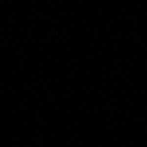 Meet your Posher, Mabel